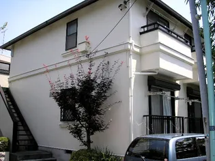 麻メゾン54の画像