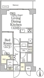 ベルファース大森山王【-1階】の間取り