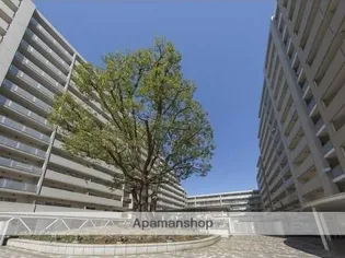 シティコート目黒1号棟【8階】の外観