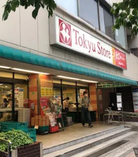 プレステージレジデンス白金長者丸【1階】の周辺