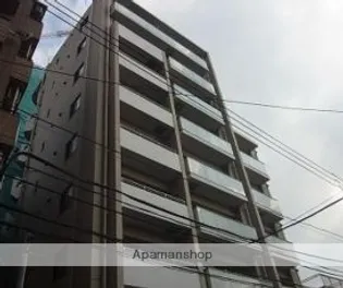 DREAM ATLAS 樹心の画像