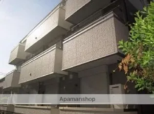 プリムラの画像