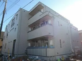 フィカーサ いちょうの木の画像