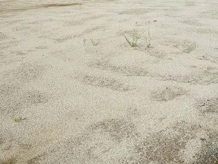東京都北区志茂5丁目【アパート】の外観