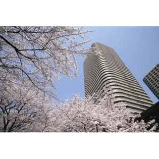リバーポイントタワー【13階】の外観