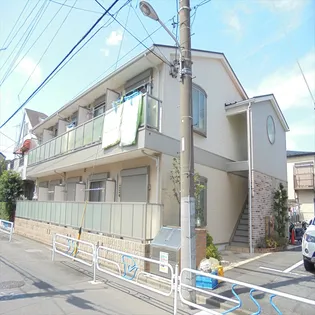 リリックコートサンフラワーの画像