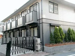 ASTOR GREENの画像