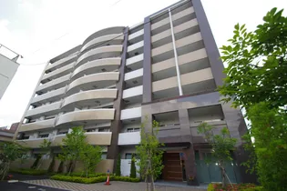 グリシーヌの画像