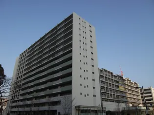 エスティメゾン豊洲レジデンスC【14階】の外観