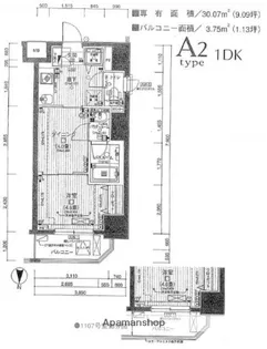 日神デュオステージ亀戸【11階】の間取り