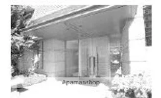 オーキッドノーザンの画像