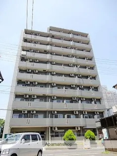 ホタカリュミエール イワタの画像