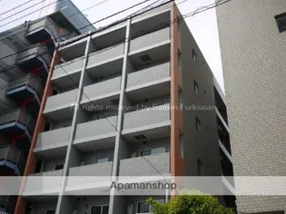 シトラスコートの画像