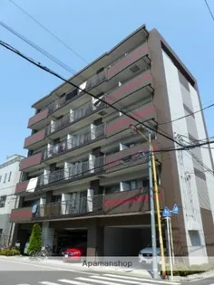 ワイサップの画像