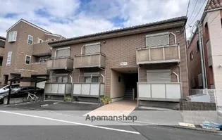 アガパンサスの画像