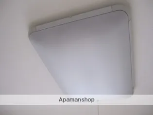 ドルフ高円寺南【1階】の内装