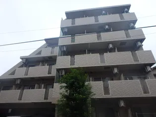 セジョリ志村坂上の画像