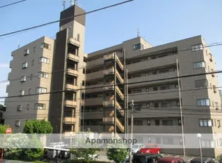 シャルムウキマの画像