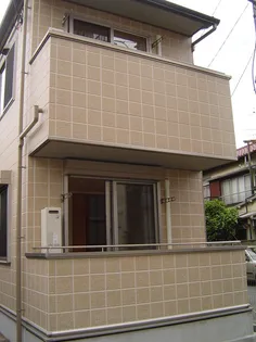 アビシニオンの画像