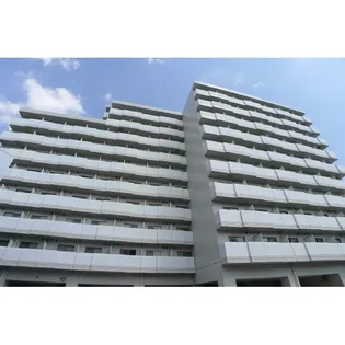 アレックス日乃本の画像