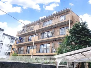 ハウスコットンテールの画像