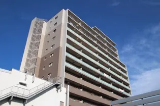 ロイヤルKJの画像