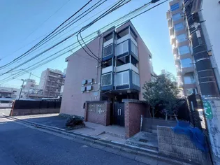 ゼルコヴァの画像