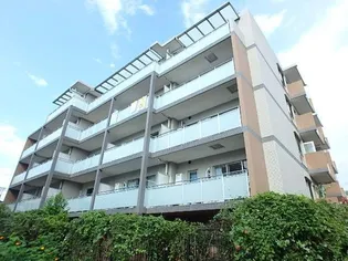 TAK PLAZAIIの画像