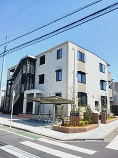 ウィーウィテ ラエティーの画像