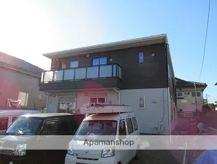 カンパニュラの画像