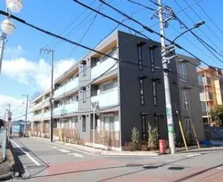 ステラ美光の画像