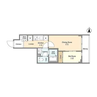 アヴァンカーサ三鷹【1階】の間取り