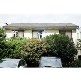 まいむ石塚の画像