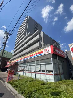 ニズニータワーハウスの画像