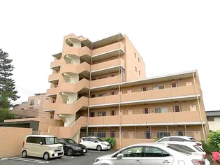 ベース ブリッジの画像