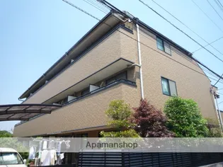 トムソーヤの画像