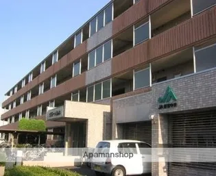 エステート柿の木の画像