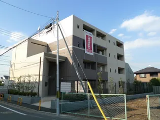 モヤ クーチャの画像