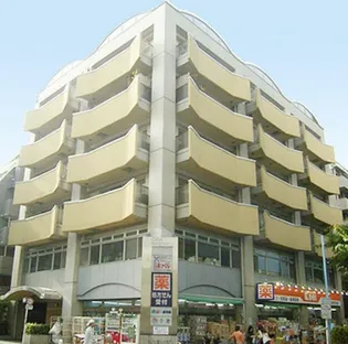 カーサクロヤナギの画像