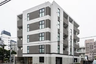 ステラフォートの画像