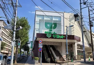 エルスタンザ中野新井【-1階】の周辺