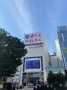 エルスタンザ中野新井【-1階】の周辺