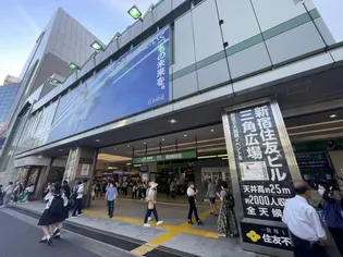 エルスタンザ中野新井【-1階】の周辺