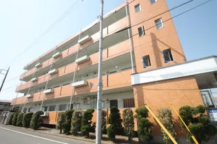 ハイムエバーグリーンの画像