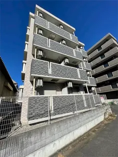 マーキー ストゥーディオの画像