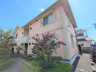 フェニックスAの画像