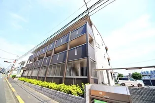 ビオレータの画像