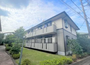 サザンクロスの画像