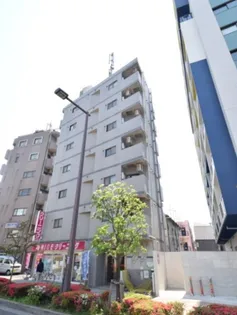 グリーンリーフの画像