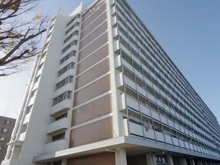 ビレッジハウス向台タワー1号棟【6階】の外観